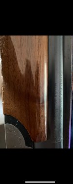 IMG_20220122_194946.jpg