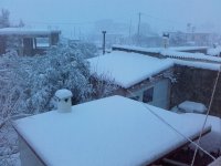 20220124_074952.jpg