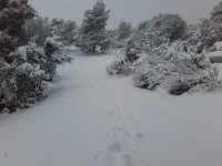 20220124_101539.jpg