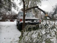 IMG_20220124_112513.jpg
