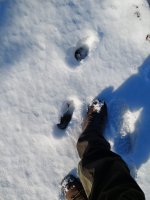 20220126_154626.jpg