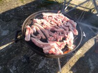 IMG_20220130_143527.jpg