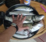 IMG_20220311_233929~2.jpg