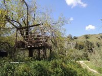 5_Zakynthos_Paranomo_posto_anoiksiatiko_©ORNITHOLOGIKI-e1619083705832.jpg