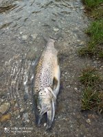 IMG_20220416_121125.jpg