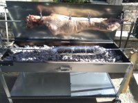 IMG_20220424_092225.jpg