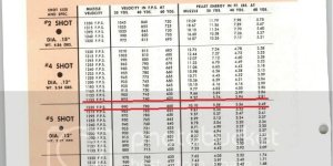 shot size velocity & energy table.jpg