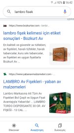Screenshot_20220525-164242_Google.jpg
