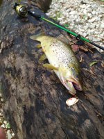 IMG_20220609_185611.jpg
