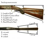 shotgun-gun-fit-measurements.jpg