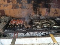 IMG_20220723_132625_1.jpg