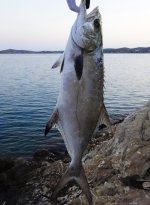 DSC01986 - Αντίγραφο.JPG
