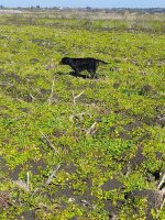 20220130_130849.jpg