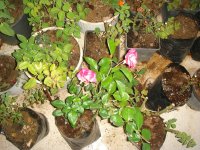 DSC09610.JPG