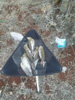 IMG_20221019_083618.jpg