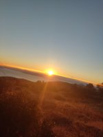 IMG_20221020_074658.jpg