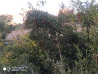 IMG_20221021_182547.jpg