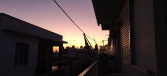 IMG_20221031_062135.jpg