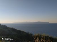 IMG_20221101_080859.jpg
