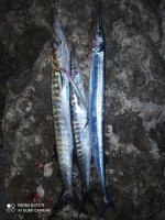 IMG_20221104_183040.jpg