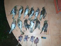 IMG_20191122_180641.jpg