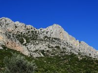 DSC04706b - Αντιγραφή.JPG