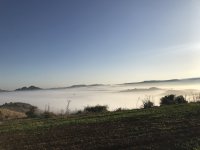 D59456AF-3304-4783-A7EC-DAAEE189170F.jpeg