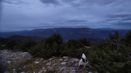 1670152933983.png