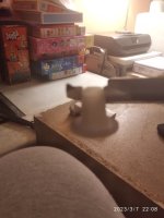 IMG_20230307_220841.jpg