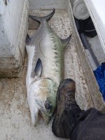 IMG_20230517_160235.jpg