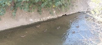 IMG_20230830_102903638.jpg