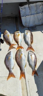 IMG_20230902_124136.jpg