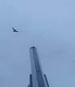 IMG_20191209_170110.jpg