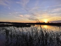IMG_20200104_170218.jpg