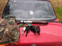 IMG_20200112_100527.jpg