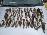 IMG_20200118_105043.jpg