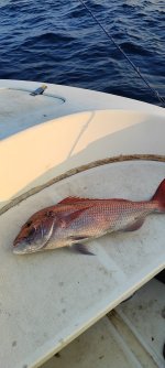 IMG_20231002_080722.jpg