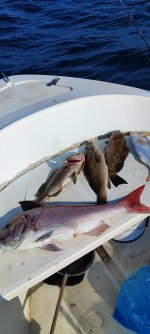 IMG_20231002_102800.jpg