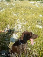IMG_20231007_174325_433.jpg