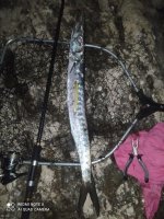 IMG_20231026_195602.jpg
