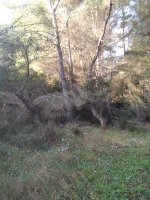 IMG_20231029_084859.jpg