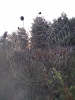 IMG_20231029_072328.jpg