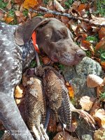 IMG_20231101_115804.jpg