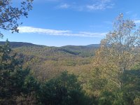 IMG_20231105_100443.jpg