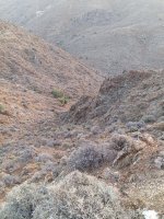 IMG_20231105_070803.jpg
