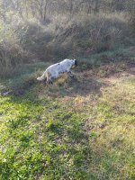 IMG_20231107_093619.jpg