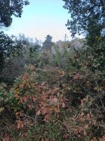 IMG_20231107_173504.jpg