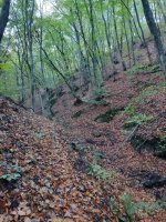 IMG_20231109_075635.jpg