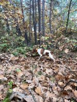 IMG_3324.jpeg