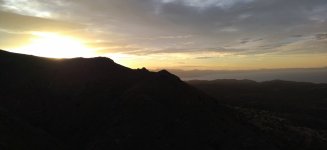 IMG_20231112_071657.jpg